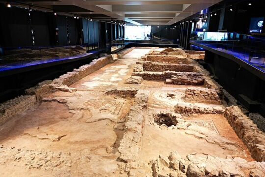 Private Tour to the Roman Villa Antiopa in Malaga