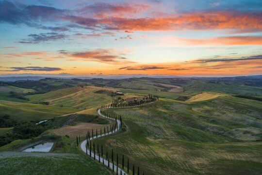 Full-Day Private Tour in San Gimignano Volterra and Bolgheri