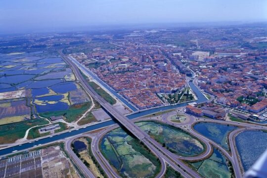 Aveiro Half-Day Wity Traditional Boat Tour