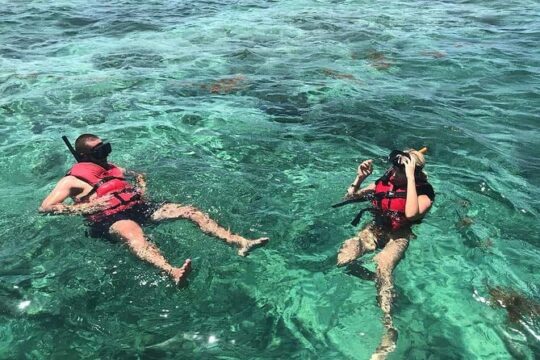 Full-Day Snorkeling Tour to Catalina Island