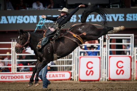 Calgary Stampede Afternoon Rodeo