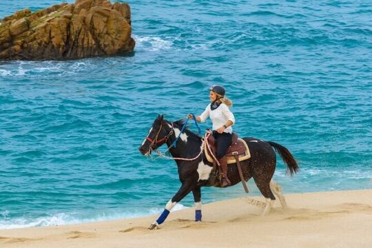 Day Pass Adventure in Los Cabos with Roundtrip Transport