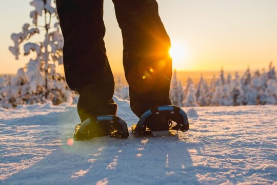 Snowshoe Fun