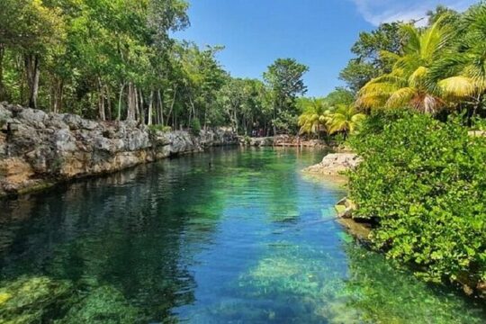 4 Cenote Casa Tortugas Tour with pick up and drop off included