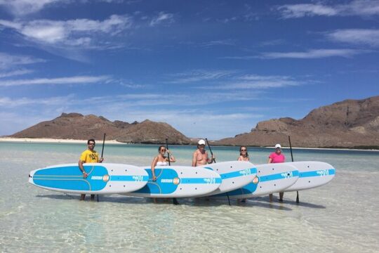 1-6 Private Group Rate Tour: Espiritu Santo Island, Sea Lions and Paddleboarding