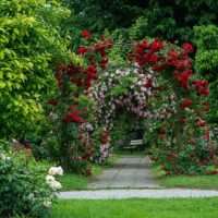 Literary, Art & Music Tours