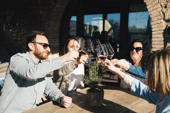 Private Wine Tasting Tour from Florence to Chianti Hills