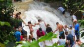 Use Byron’s Jamaica Tours!