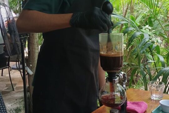 Cozumel Coffee Culture and Tastings