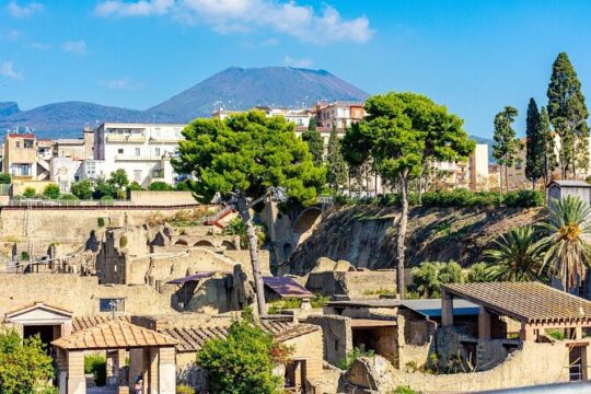 Herculaneum and Vesuvius Private Tour from Naples