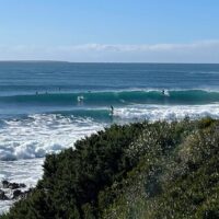 Surfing & Windsurfing