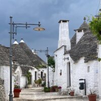 Shore Excursions
