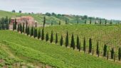 splendid Abruzzo reality