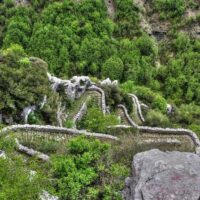 Multi-day & Extended Tours