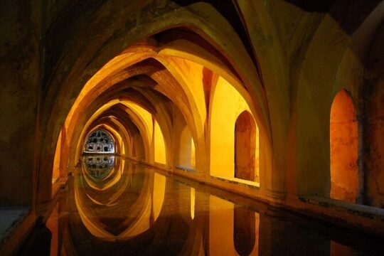 Private Tour of the Cathedral and Alcazar of Seville Includes Tickets