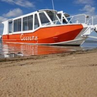 Day Cruises