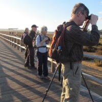 Multi-day & Extended Tours