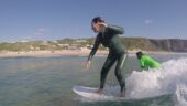 Perfect surf lessons