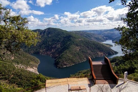 Douro Valley and Green Wine with Tastings, Chef Lunch and Boat