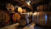 Wonderful vineyard tour and tasting
