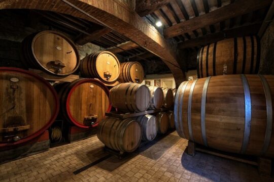 1-Hour Experience with Brunello. Visit to the Vineyard and Cellar