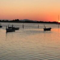 Walking & Biking Tours