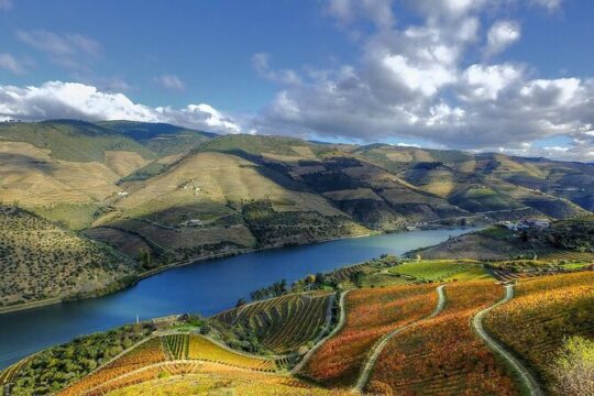 Douro Valley Tour to the Heart of the Wine from Porto