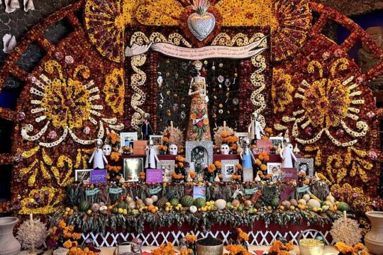 Frida Kahlo VIP-Walk, Market and Churros Museum Tickets Included