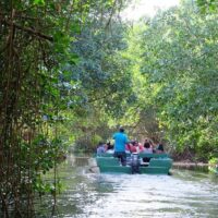 Multi-day & Extended Tours