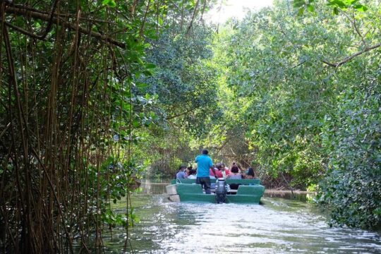 4 Days Shared Tour Around Trinidad