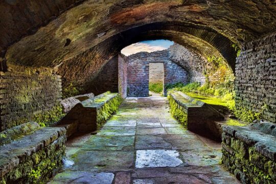 Ostia Antica Private Walking Tour