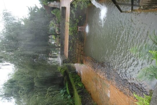 Furnas full day for €79.99 per person with lunch included