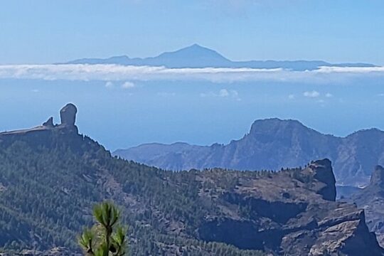 Private Tour from Las Palmas Dunes and Mountains