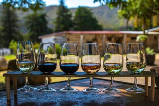 Waipara Wine Trail Tour From Christchurch