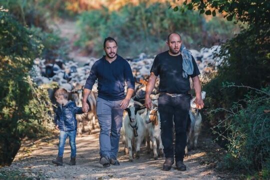 Tour in the footsteps of Sardinian shepherds: experiencing transhumance