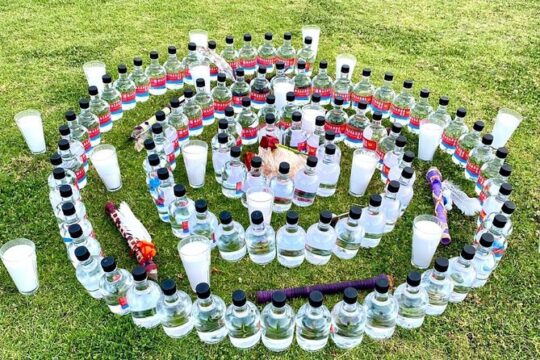 Private Meditation Experience in Bosque de Chapultepec