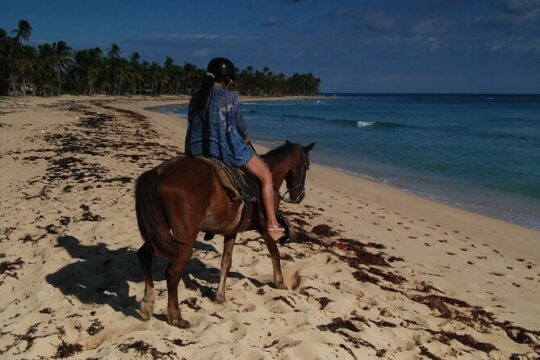 Punta Cana Horseback Riding on the Beach