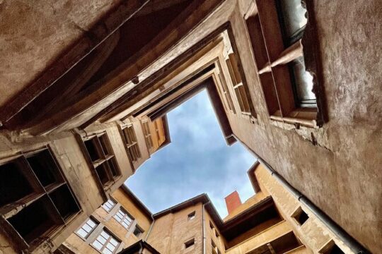 Discorver Lyon in a Private tour with your driver