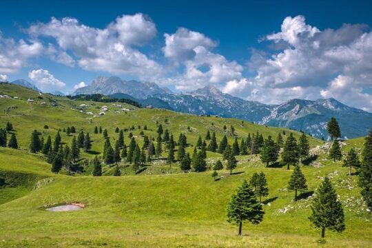 Private Kamnik & Velika Planina Tour from Ljubljana