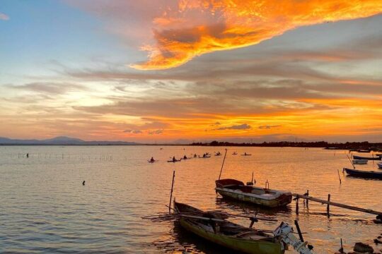 Private Kayak Excursion in the Santa Gilla Lagoon