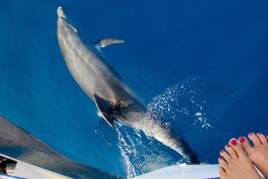 Private Boat Tour, 7 days, the SPORADES, with chef and skipper