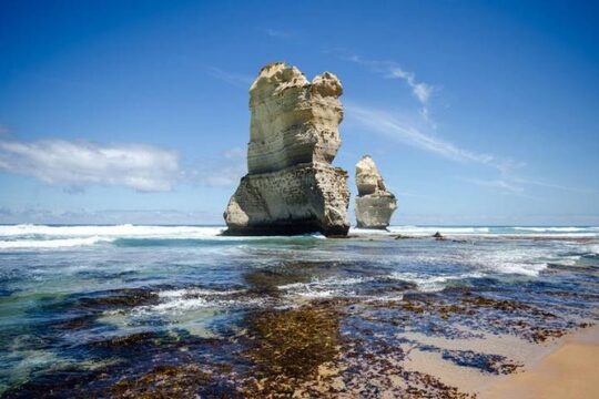 Great Ocean Road and Otway National Park Sightseeing Day Tour