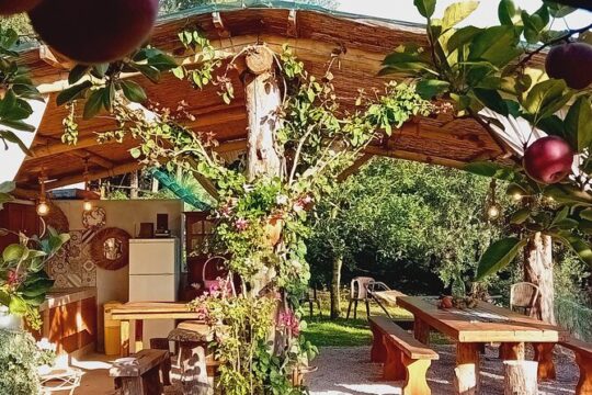 Cooking class on the farm "green gold estate" on Amalfi coast