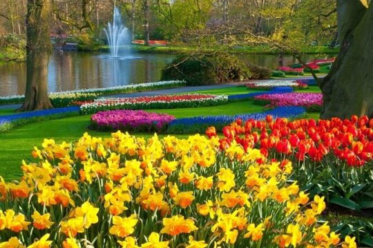 Stunning Keukenhof Gardens and Delft City Tour from Amsterdam