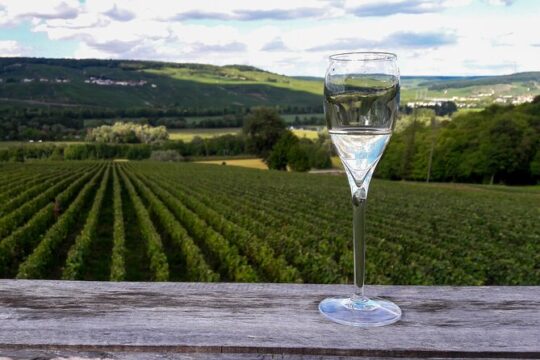 Private Day Trip to Champagne Region with Lunch