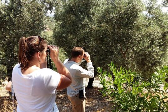 Bird Watching Tour from Kusadasi
