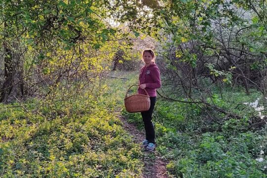 Herbal and Wild food walking tour in Warsaw area