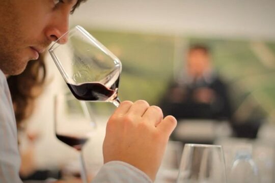 Wines tour and tasting with history in Atalaia