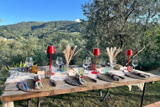 Olive Oil Tasting and Fresh Pasta Lesson at Frantoio Gasparri