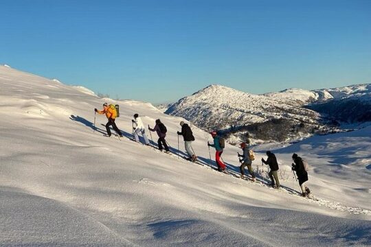 Snowshoe hiking Bergen Private Norway Mountain Guides